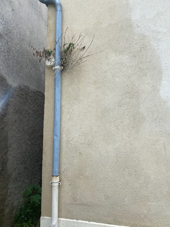 /